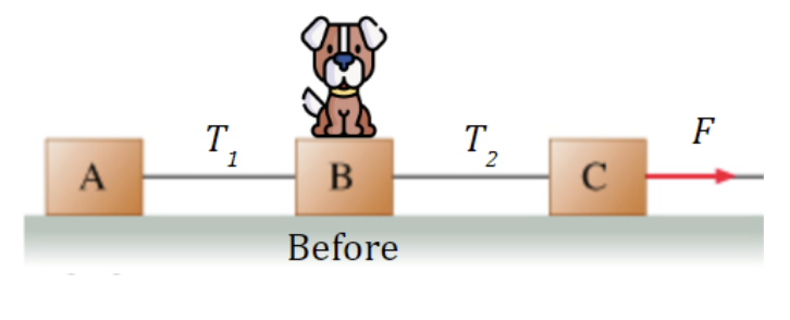 Exercises: Linear Systems