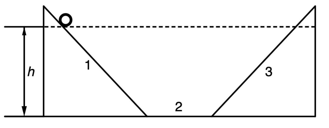Multiple Choice Practice